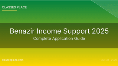 Benazir Income Support 2025