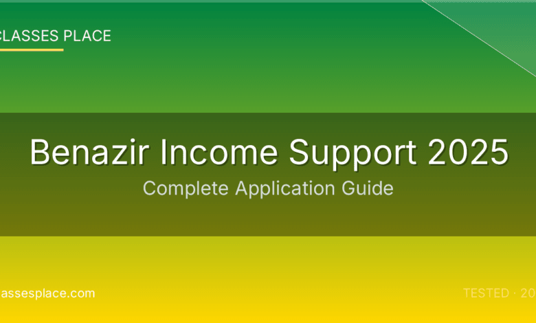 Benazir Income Support 2025
